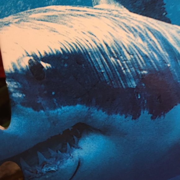 Giant Ocean Creatures Floor Puzzle - 26 Pieces - Interactive Learning - Picture 4 of 9